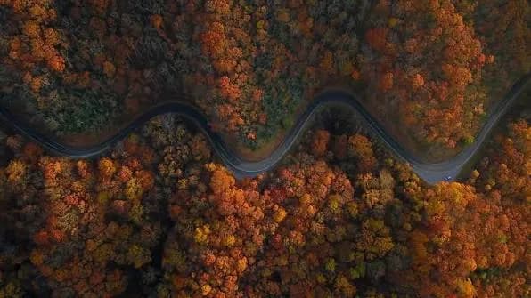 The Snake (US-421)