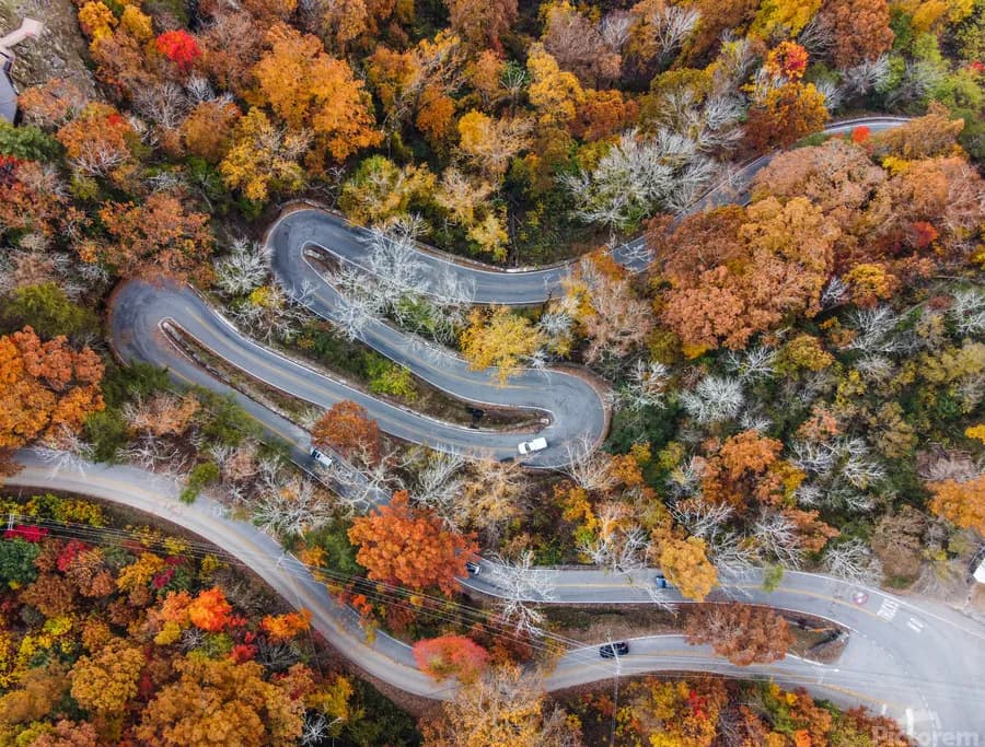 The W Road (Signal Mountain) cover image