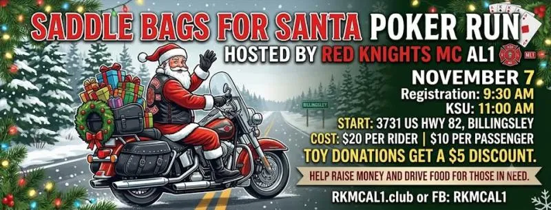 Saddle Bags for Santa cover image