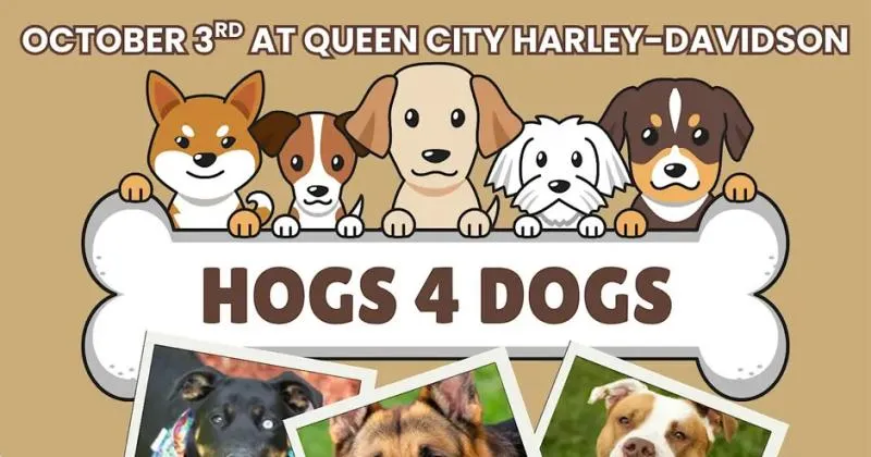 HOGS for Dogs Ride & After Party cover image